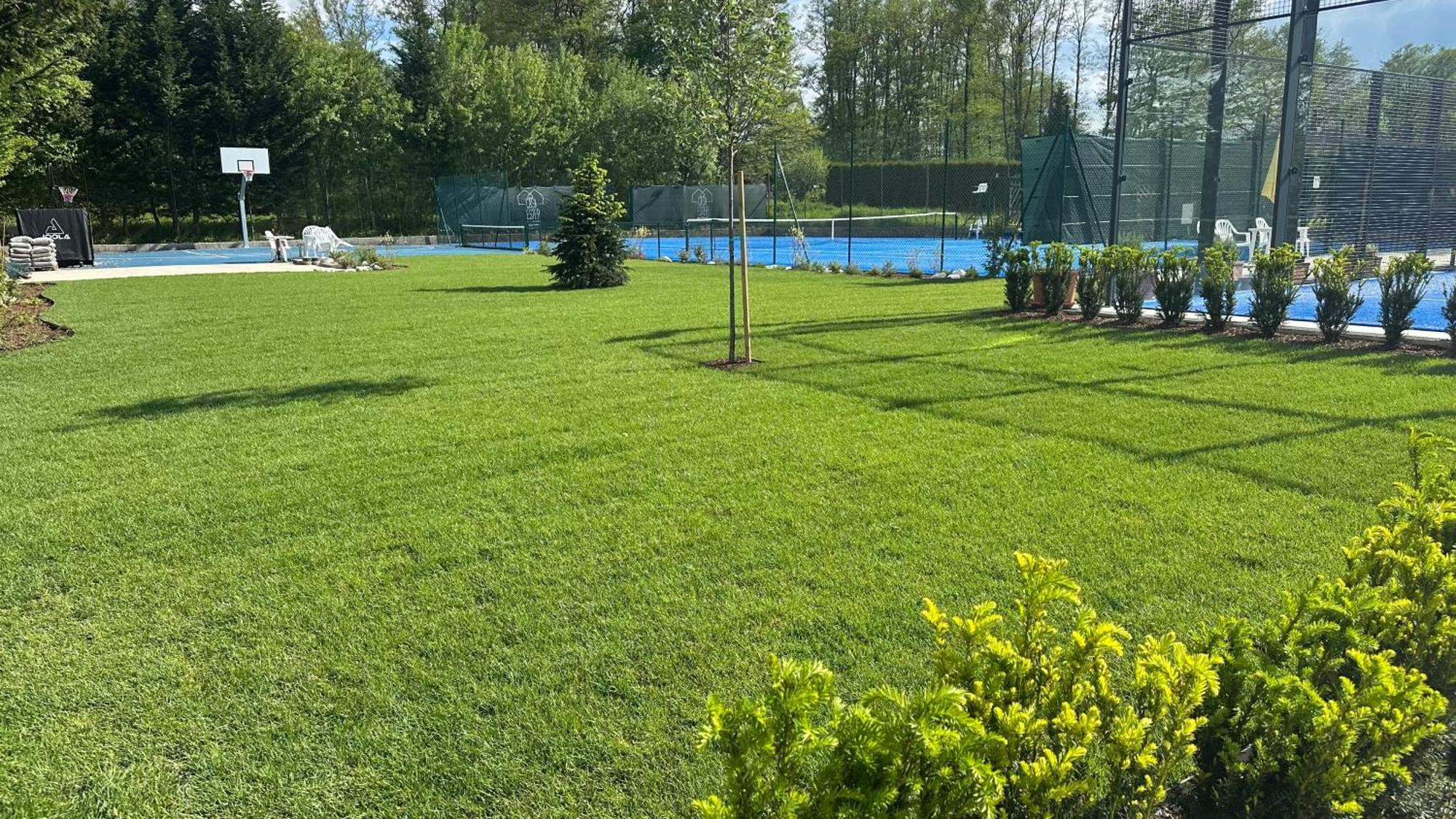Appartamenti E B&B Casa Ester Baselga di Pinè Екстериор снимка
