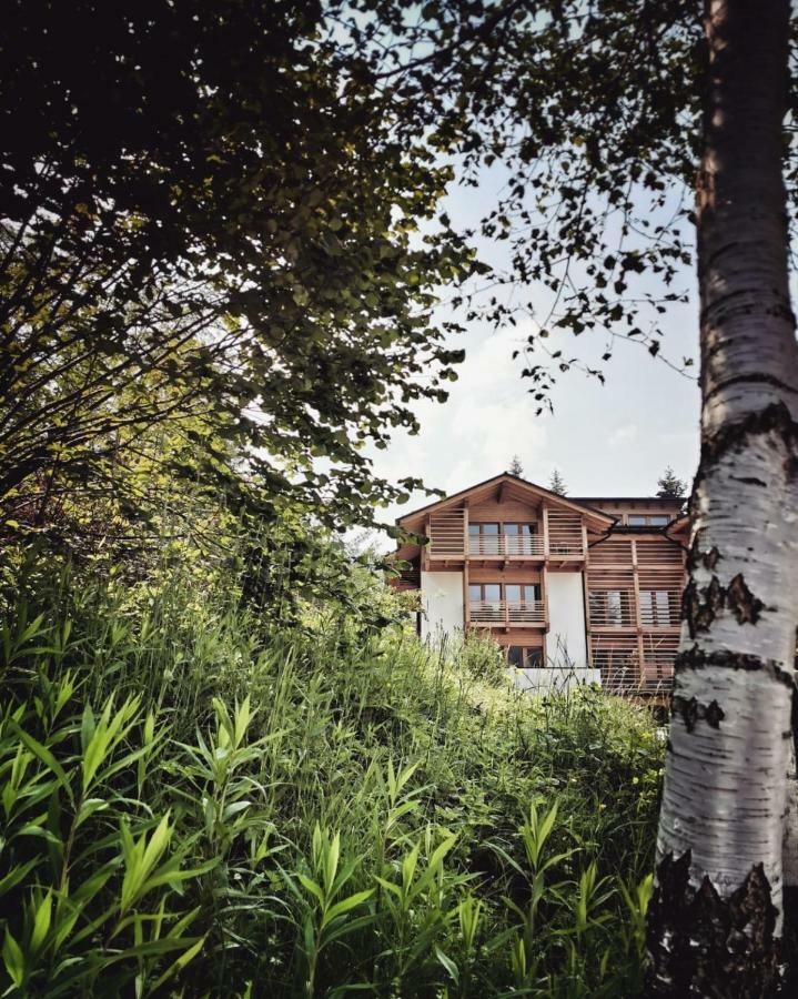 Appartamenti E B&B Casa Ester Baselga di Pinè Екстериор снимка