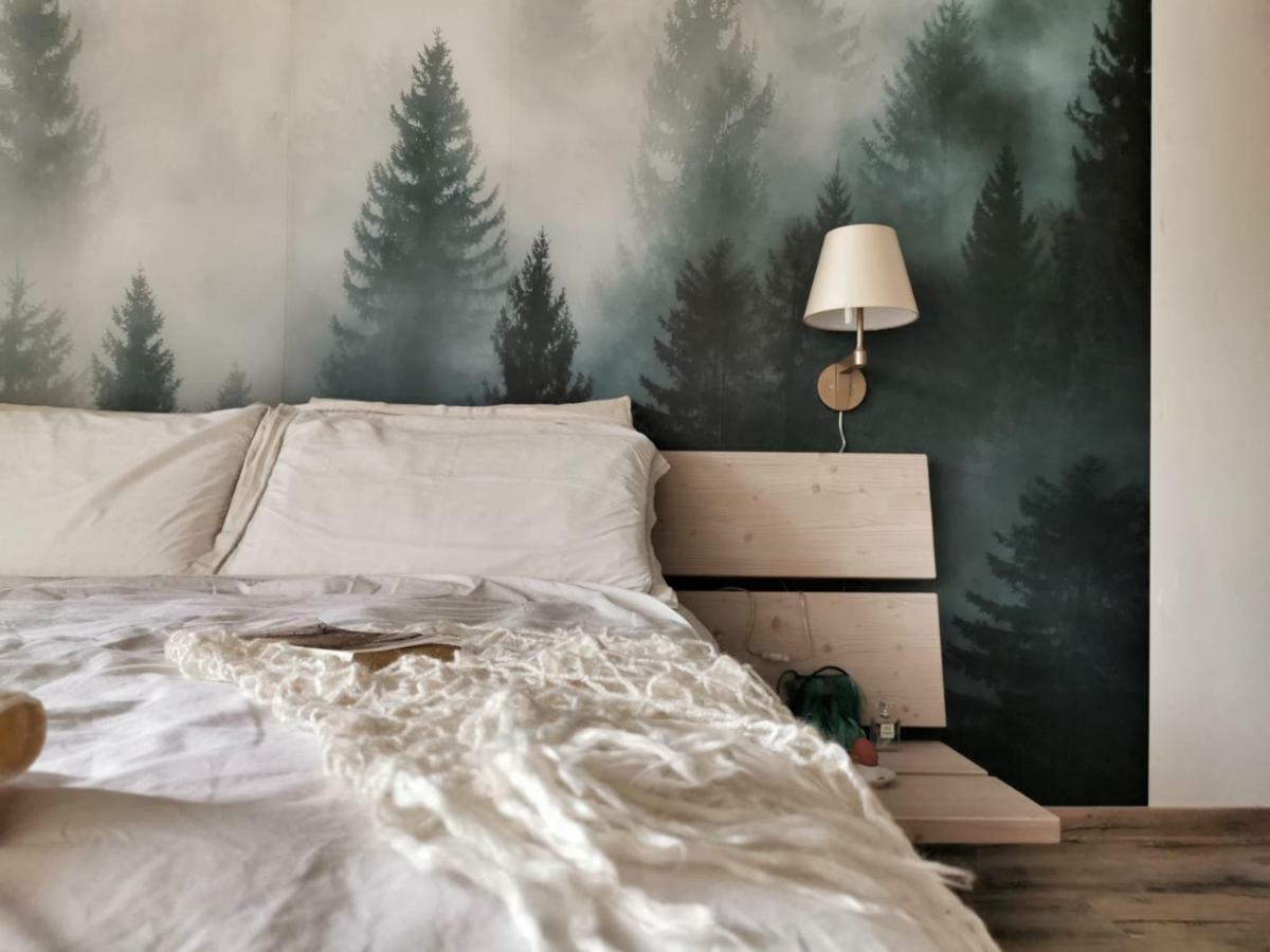 Appartamenti E B&B Casa Ester Baselga di Pinè Екстериор снимка